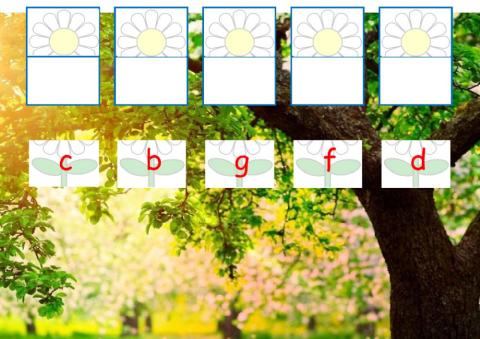 002 Consonant B C D F G