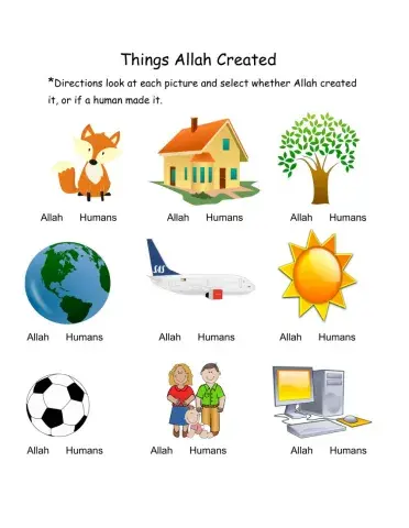 Things Allah Created