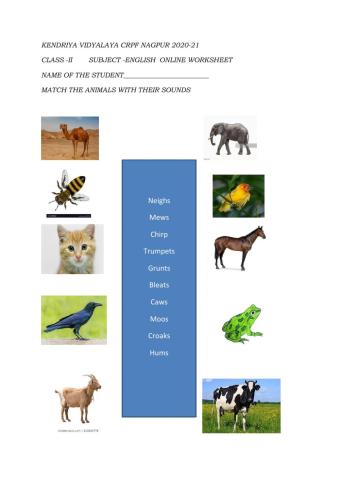 Matching animals with their sounds