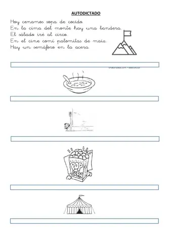 Lectura comprensiva 7