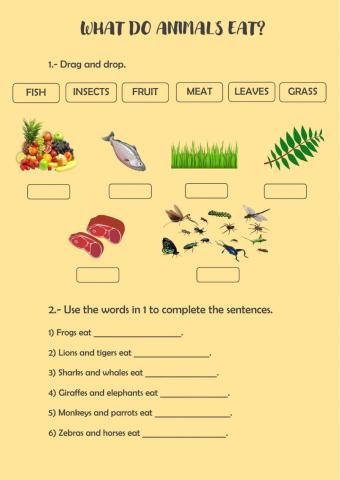 What do animals eat?