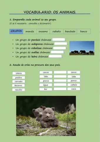 Vocabulario: Os Animais