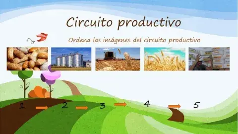 Circuito productivo