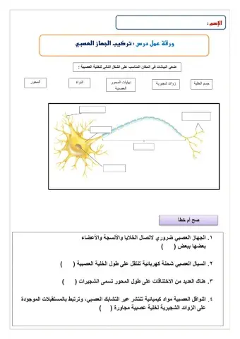 ورقة عمل تفاعلية تركيب الجهاز العصبي