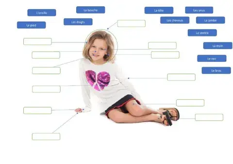 Body parts - les parties du corps