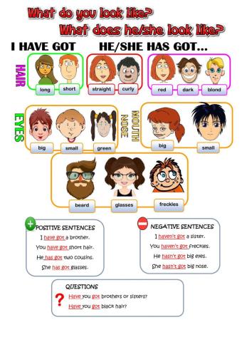 Physical description