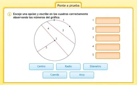 Partes del Circulo