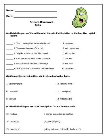 Plant and Animal Cells