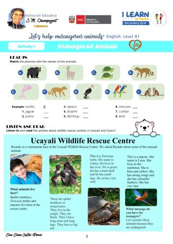 Let’s help endangered animals