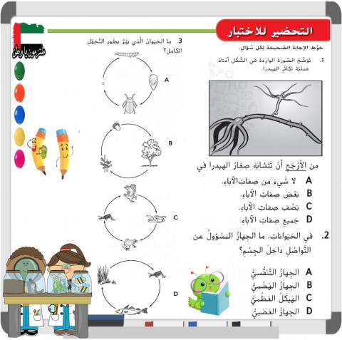 التحضير للاختبار وحدة مملكة الحيوان - الصف الرابع