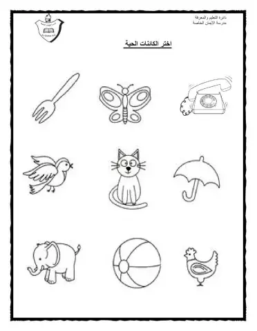 الكاينات الحية