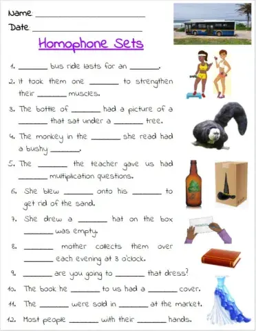 Homophone Exercise 2