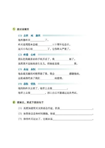 初一第2课练习1