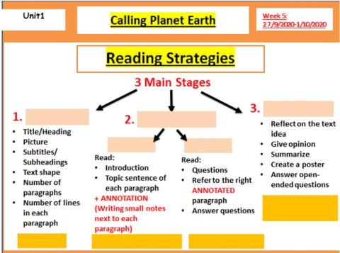 Reading strategies 