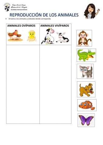 Reproducción de los animales