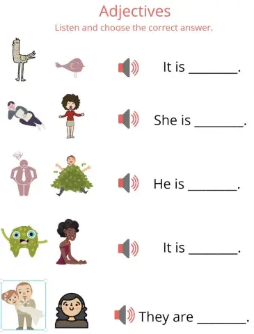 Listen and Choose Adjective