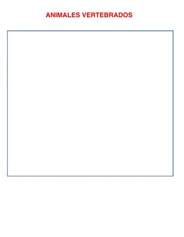 Animales Vertebrados