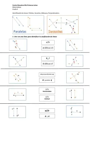 Tipos de Líneas Rectas