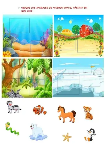 Habitats de los animales