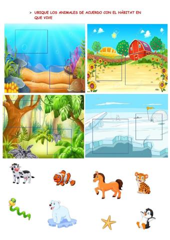 Habitats de los animales