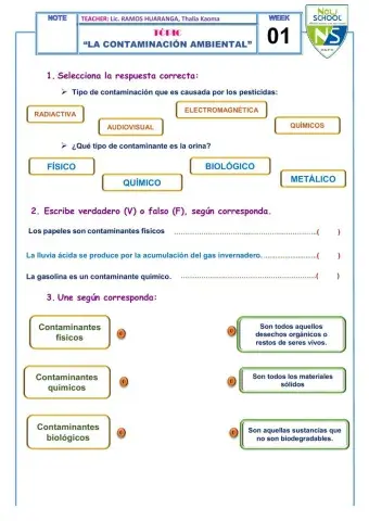 La contaminación ambiental