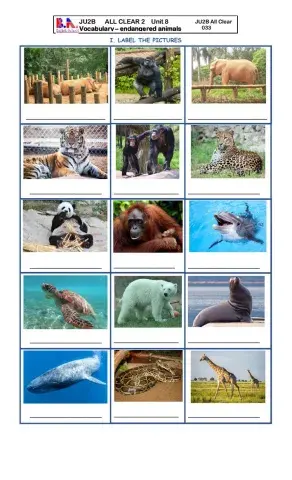 JU2B UNIT 8 VOCABULARY ENDANGERED ANIMALS