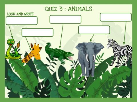 Quiz 3: animals