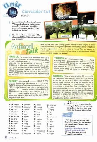 Starlight 11 Module 1