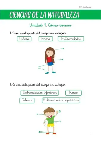 Unidad 1. Nuestro cuerpo por fuera (2.º CNA)