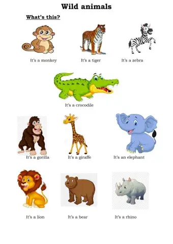 Wild animals