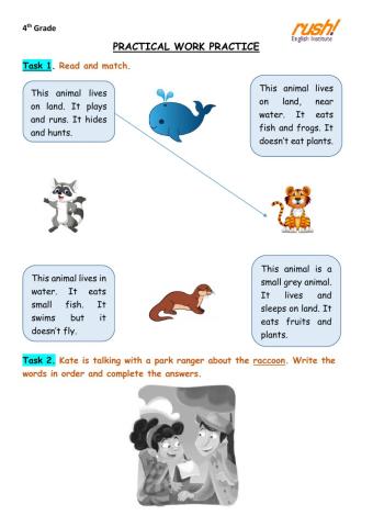 4th Grade - Practical Work Practice