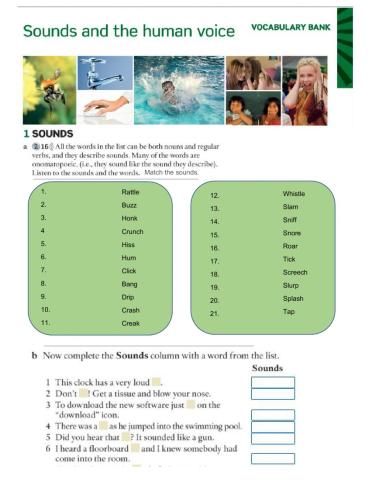 Sounds and the Human Voice