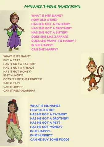 Aladdin questions
