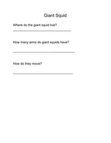 Giant Squids questions