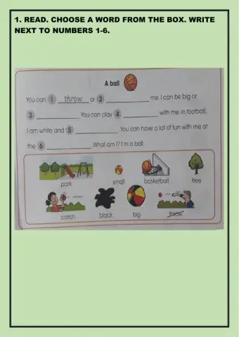 Starters Reading and Writing Activities