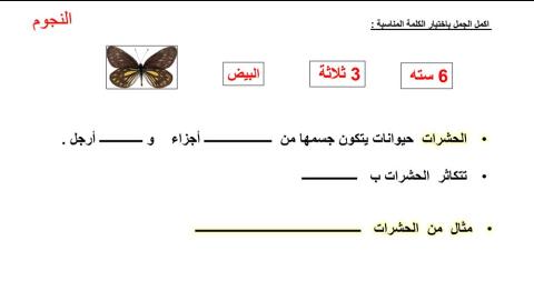 مجموعة الحشرات