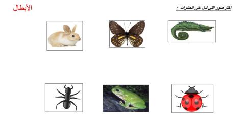 اختر الحشرات