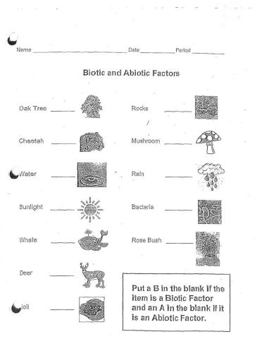 Abiotic or Biotic
