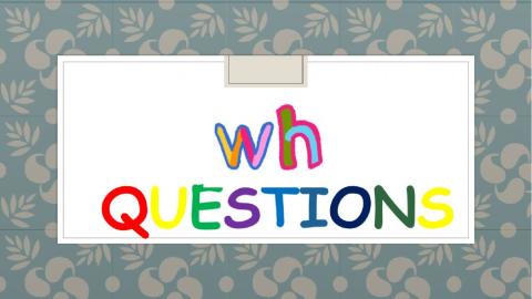Wh Questions Activity 1.