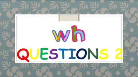 Wh questions Activity 2