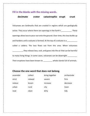 Vocabulary Review 3