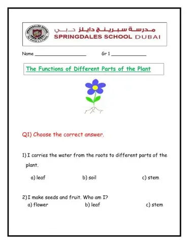 The Functions of different parts of  the Plant