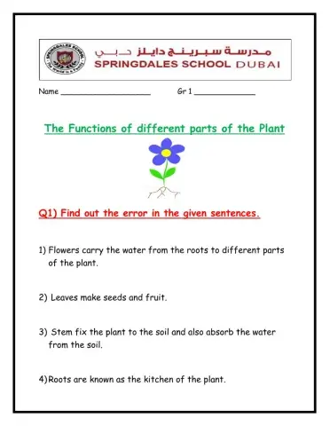 The Functions of Different parts of the Plant