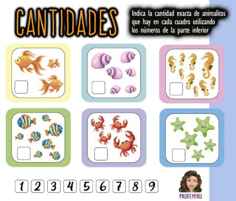 Cantidades