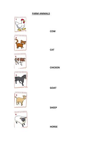 Farm Animals