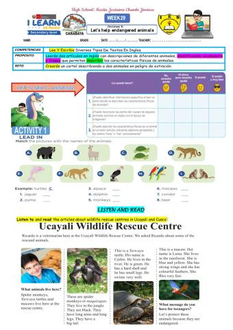 Let’s help endangered animals