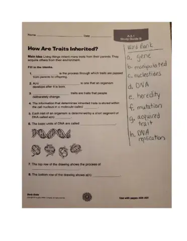 Science Ch 3 Lesson 1 Shafer