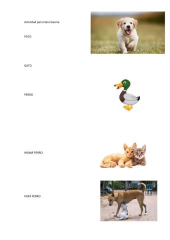 Actividad para la alumna Clara Gasme