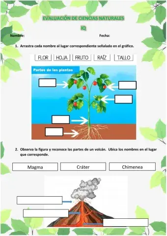Evaluación de Ciencias Naturales