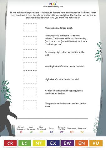 Yahoo Creek - Yahoo Extinction Level